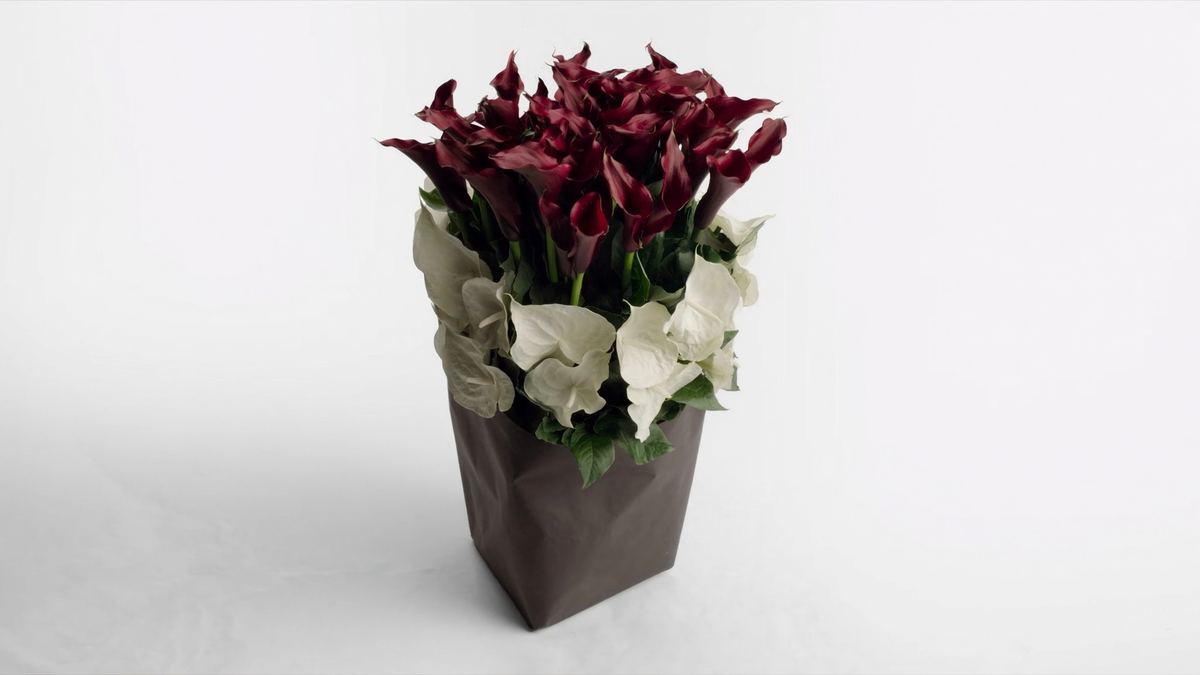 A tall, structured bouquet of dark burgundy and white flowers with greenery on a white background