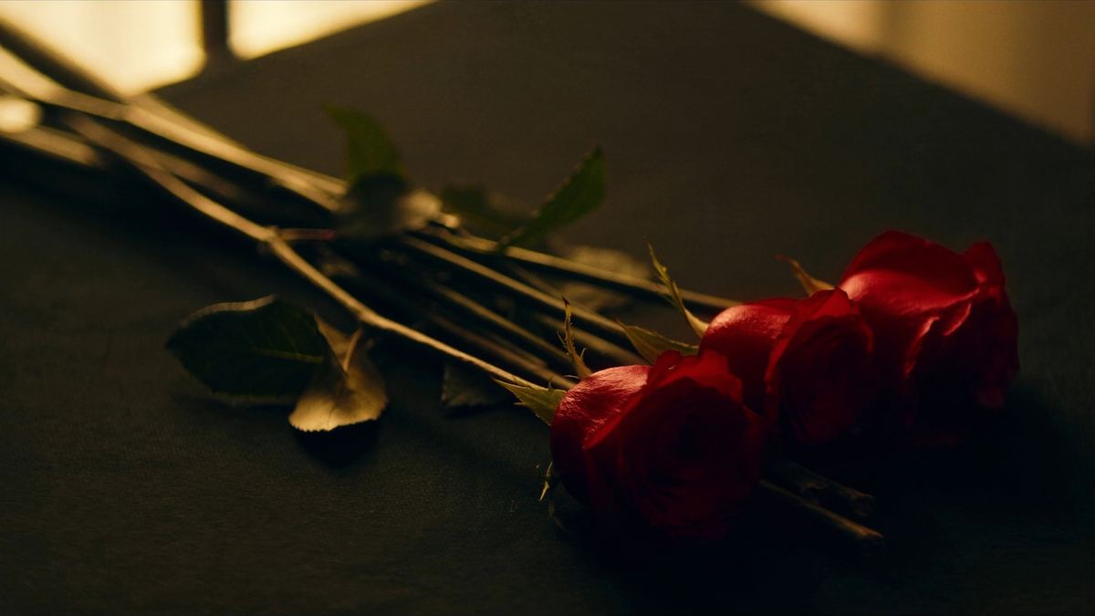 Three long-stem red roses lying on white linen