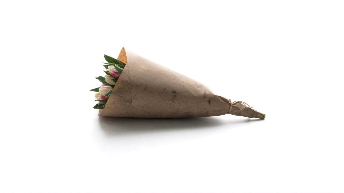 A bunch of soft pink and white spring tulips wrapped in kraft paper on a white background